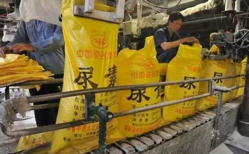 ���ش�С�q��ͦ�r��Ը�^����