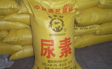 5�£����в�ُ(g��u)���Ɲq���أ�