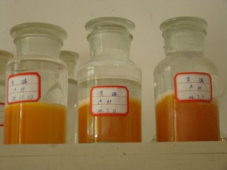 �S�����a��I�����\�I�����ٔ� δ��r���y�д���{��