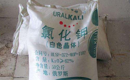 �M���Ȼ�������ϝq������⛕������ϝq�᣿