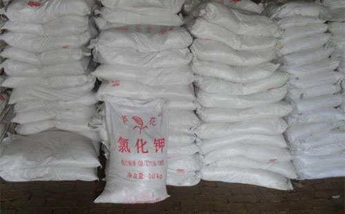 �Ȼ���䲻�䣿�y����߀���ٝq��