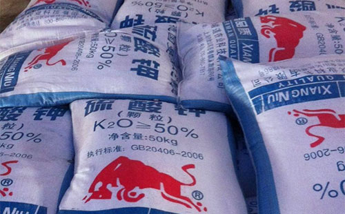 ��N֧�������£����������������ܕ�(hu��)�ܲ�ô��