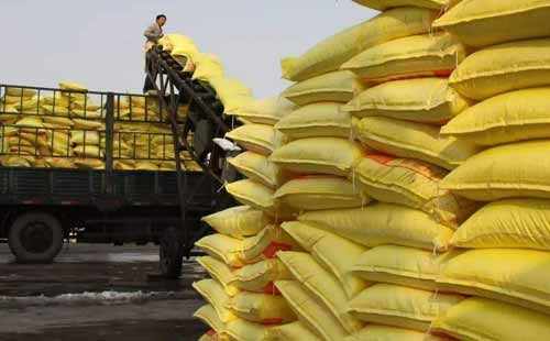 ���؃r���»��ӄ���������M��10�f����