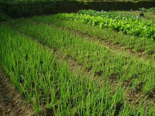 ���[ʩ�ʳɱ��ߣ����[ʩ�ʼ���