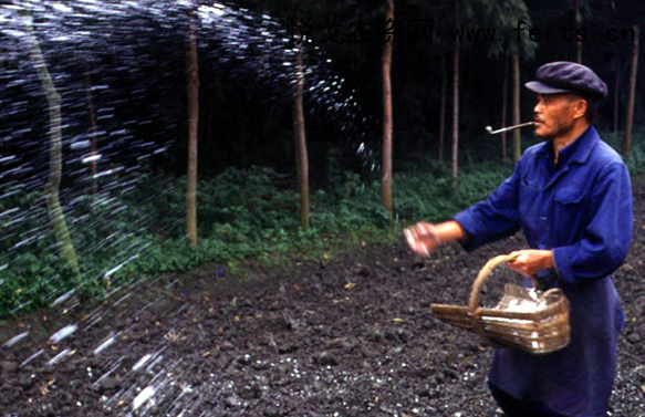 2018�껯�ʃr�񶼝q�˴������ �������߀���ٝq�r��