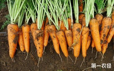 ����ʩ���ܴ��M���}���߮a�����}��ʩ�ʼ���