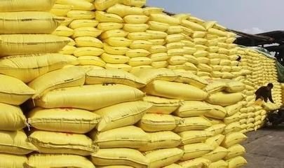 ���؃r��ʬF�՝q���棡�_����ƫ�ͽ��N���đB�D׃������