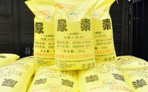 ���؝q������AӋ���ڃr��߀���ϝq ���N�̿��m����؛�m�r����