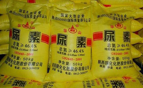 ���ڇ��������Ј������^�m�����ϝq ���c�Pע���󼰳����΄�