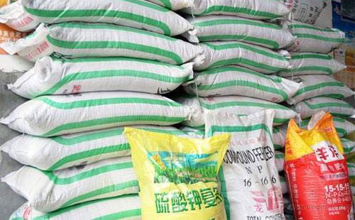 ���ֽ��N���ÏͺϷʴ�����@���ͺϷʃr�����С���ϝq�A��