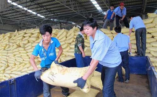 �����Ј����m(x��)��(w��n)���ϝq���S��ͦ�r(ji��)��Ը��(qi��ng)��