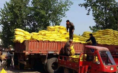 ��һ݆�����Ј��ٴΆ������ֲ����؃r��������