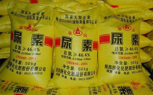 ���������l���q�����lһ�������L�U����������N�̳�֔���^���đB