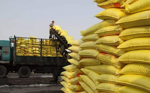 �����܇��ȃ��費��Ӱ푣��r��ؚw����