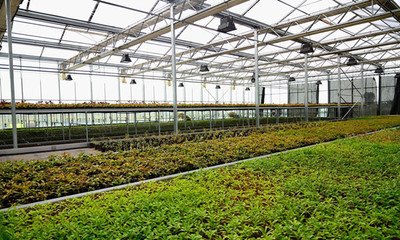 �ۿ���ͨ�F؛�^�� ⛷ʃr���λ��ͦ