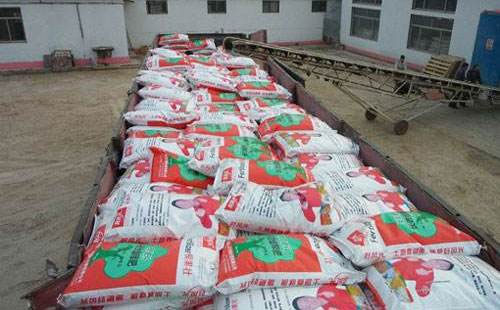 �ͺϷʵġ����족�����������족߀���h����