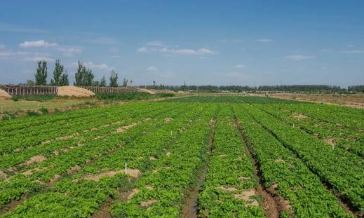 ���S�r���m�ߵͣ�������300Ԫ/������ǰ����؛�C�����I����ʿ�A�y�������؃r��؝q��