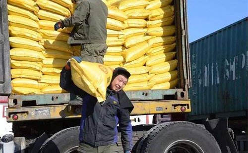 �������؃r���ٶ����������y�������a�^��r�q��80~100Ԫ/��