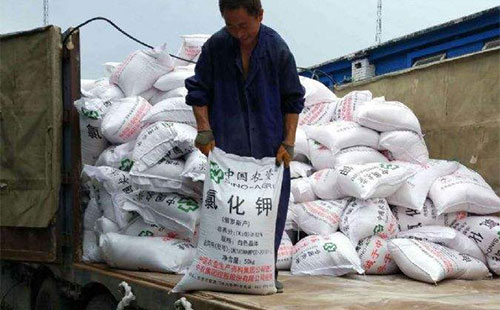 �Ȼ��@���N��λ��ʎ�\�����̾��Ӹ�ͦ�M������