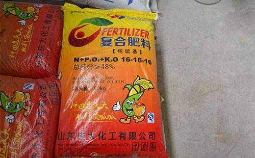 �ͺϷ��Ј����m�����P�����AӋ���ڌ����m�����B��