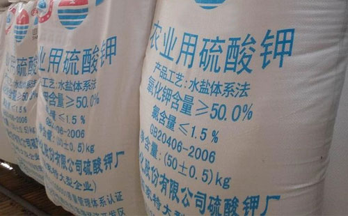 �ϰ���������Ј���ɂ�����Ҏ�t��������