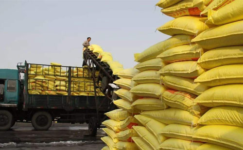 ����󔵓��£�����8���ܷ�ӭ���D�C��