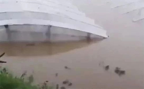 ���_�L�������R��Ӱ푣����ڻ����ИI�ݱ���ɛ_��