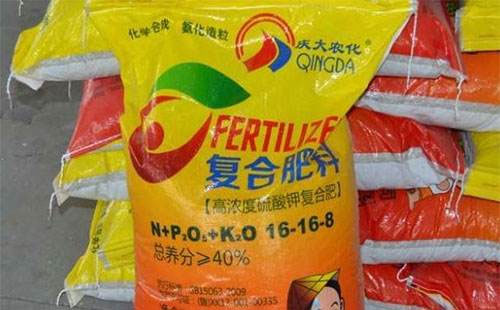 ��(f��)�Ϸʱ��F(xi��n)��Ȼ��(ji��n)ͦ�����鲨��(d��ng)����