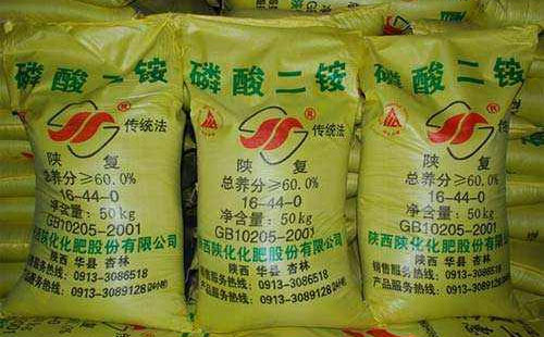 ���ֽ��N���Գ��^����B�����@�Ј���������ጷž���