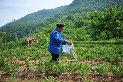 ���ʩ�ʵ�Ҫ�c��ʲô��������_��ʩ�ʼ��g