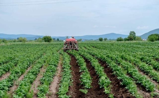 ���ʜp�������N�̷����ʲô��׃���Ј���֣�