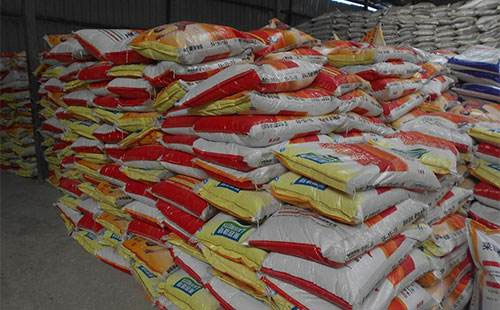 �ͺϷ��Ј�Ҳ��ʽ���붬���A�Σ����N�̶�֔���^��