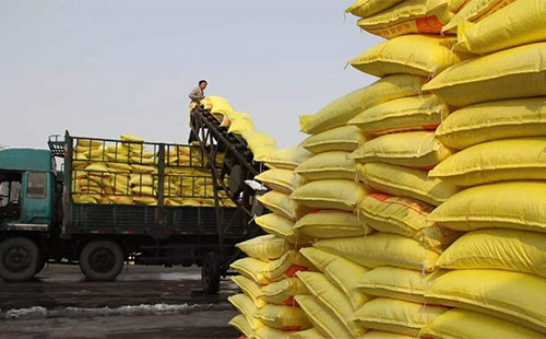 �������w���������^�� 11�µ�ǰ�rλҲ�Нq�r����