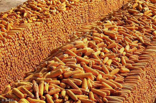 ���׃r��ͻ��1Ԫ/����m(x��)߀�ܝq���٣�