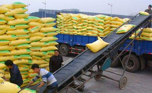 ���؃r���µ��ѳɶ������µ����ȿ��ܕ����^�@�Νq��