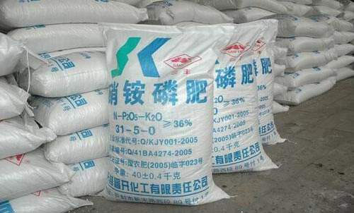 �����������@�r������ͦ