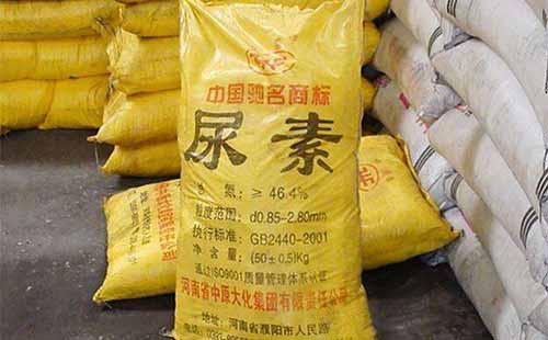 ����(n��i)���؃r����^�m(x��)�³����I(y��)��(n��i)�A�����^���B(t��i)��