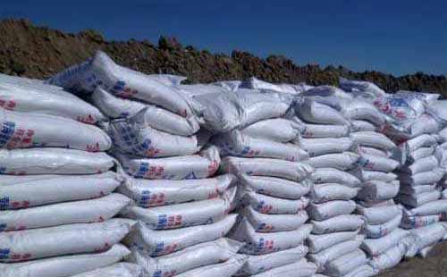 ⛷��Ј�̎�ڂz���ֻ��Ġ�B���Ȼ���Ј��߄�ƽƽ