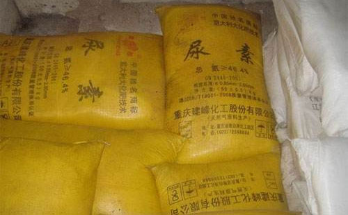 �ϰ����r(n��ng)�I(y��)�������M������˾޴�����ô���r(n��ng)�I(y��)������������