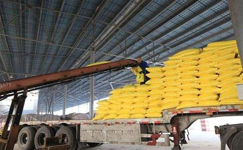 ������؛�Ј����믂�����F؛�����