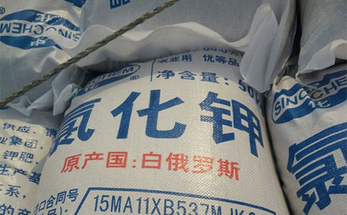 �Ȼ�⛷������ܳ��m��9����Ѯ�����ú�r���󷀲������տs