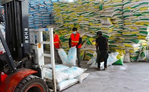 ���ʃr�񲨄Ӳ��������ڷ����\�О���