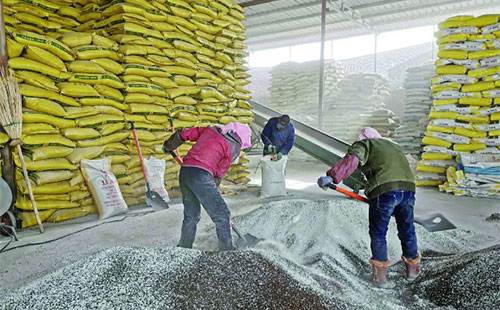 2021�껯���Ј���ӭ����ϣ���᣿