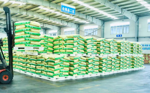 2021�����ʃr���߄��Д���