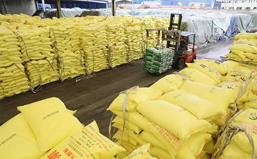 �A�y��2021�껯�ʳ���ӭ���ã��M�ڌ���������