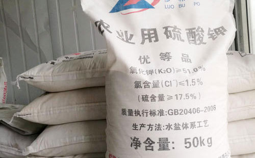 ���ء����@��Ʒ�N�r����F�ϝq��������Ƿ�Ҳ�ЙC���أ�