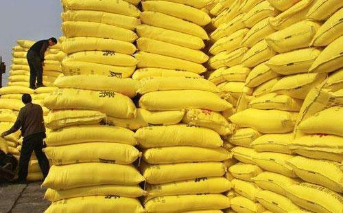 �����Ј��^�m���ֈ�ͦ����݆�ϝq���^�򌢏�����һ݆