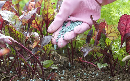 �����r�aƷ�����������2021�_�껯�ʾo�΃r���߸�