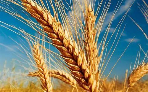 ��С����ُ�r���ϝq�����û����Ј���