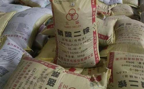 ���@�߿գ����m�����ֺ�ȥ�Ώģ�